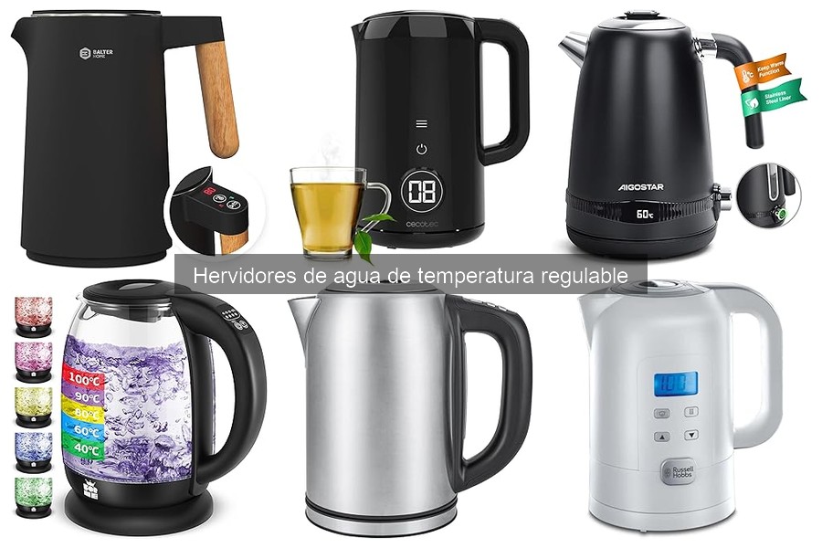 Alternativas a Hervidores de Agua de Temperatura Regulable