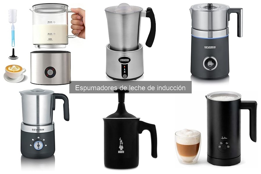 Alternativas al Espumador de Leche de Inducción: Guía Completa