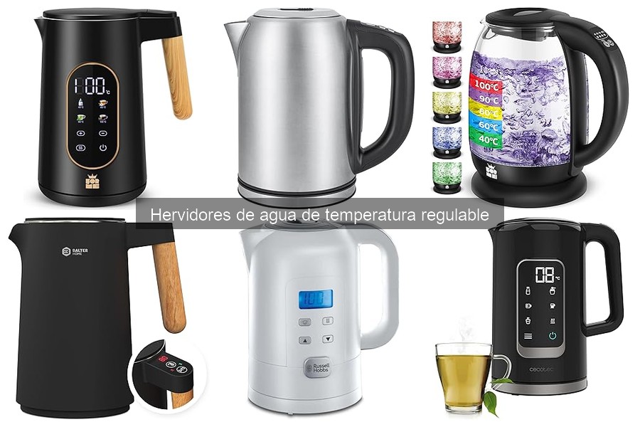 Beneficios de los hervidores de agua de temperatura regulable