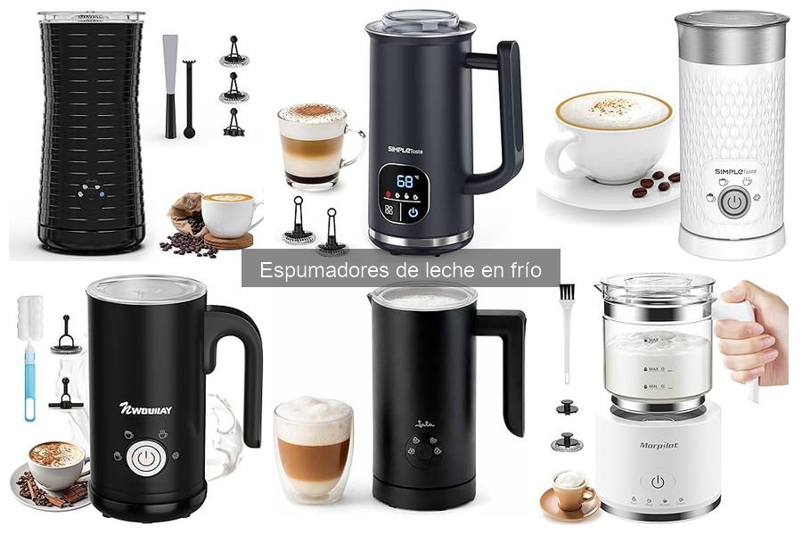 ¿Cuánto cuesta un espumador de leche en frío? Precios y guías
