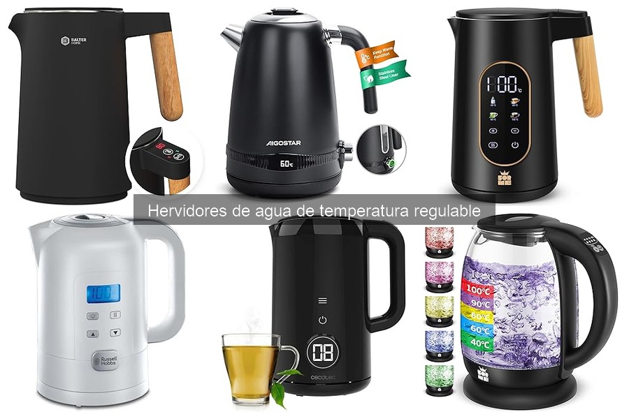 Dónde comprar hervidores de agua de temperatura regulable