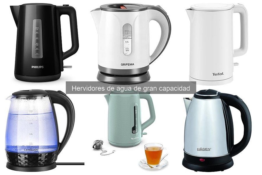 Funciones adicionales de hervidores de agua de gran capacidad