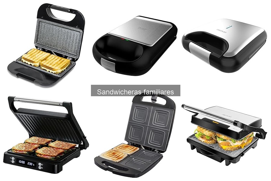 Mantenimiento de tu sandwichera familiar: guía práctica