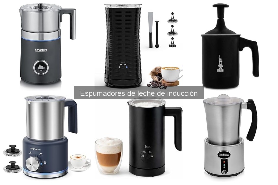 Mantenimiento y limpieza de espumadores de leche de inducción
