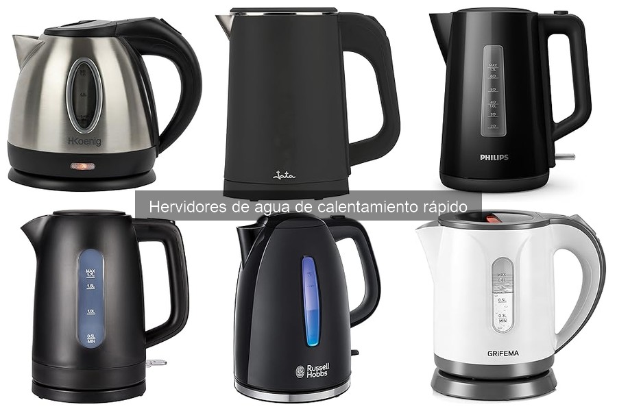 Mantenimiento y limpieza de hervidor de agua rápido