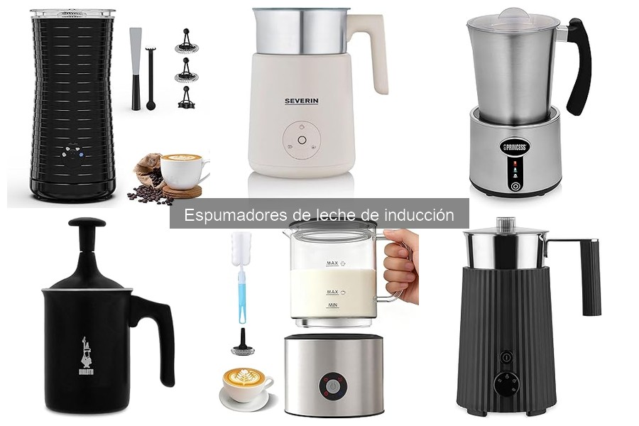 Mejores espumadores de leche de inducción en 2023