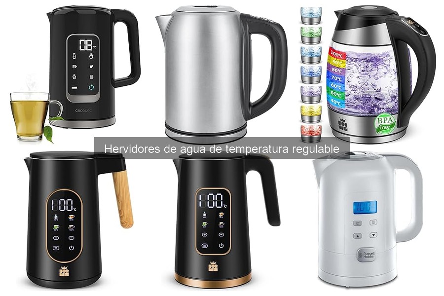 Mejores hervidores de agua de temperatura regulable para café
