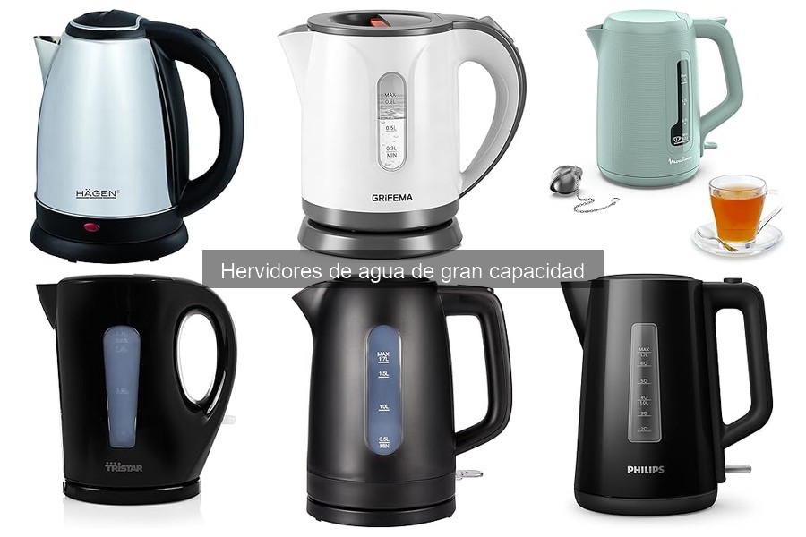 Opiniones de Usuarios sobre Hervidores de Agua de Gran Capacidad