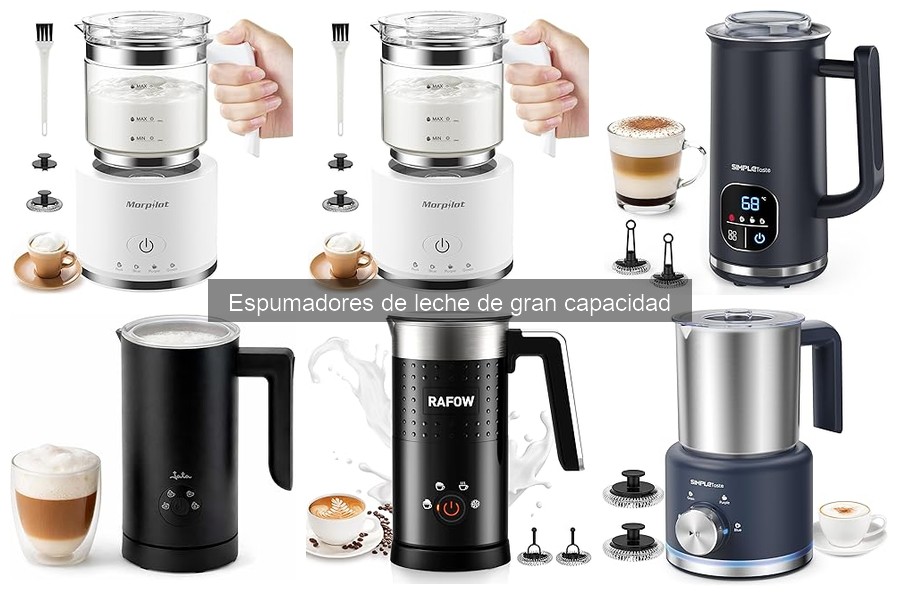 Opiniones sobre espumadores de leche de gran capacidad