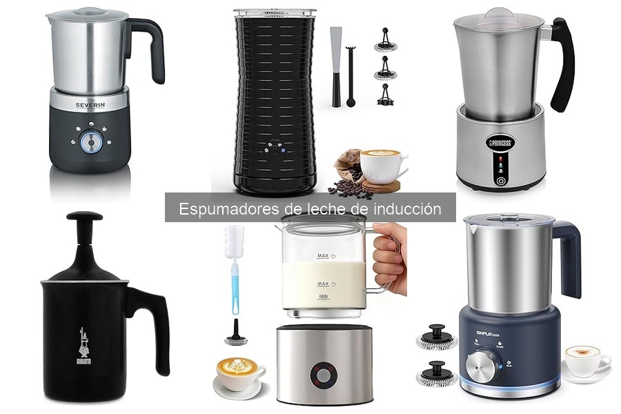 Precio promedio de espumadores de leche de inducción