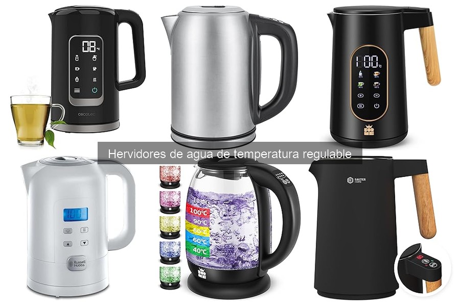 Precios de hervidores de agua de temperatura regulable