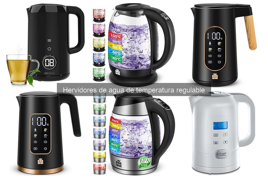 Problemas comunes con hervidores de agua de temperatura regulable