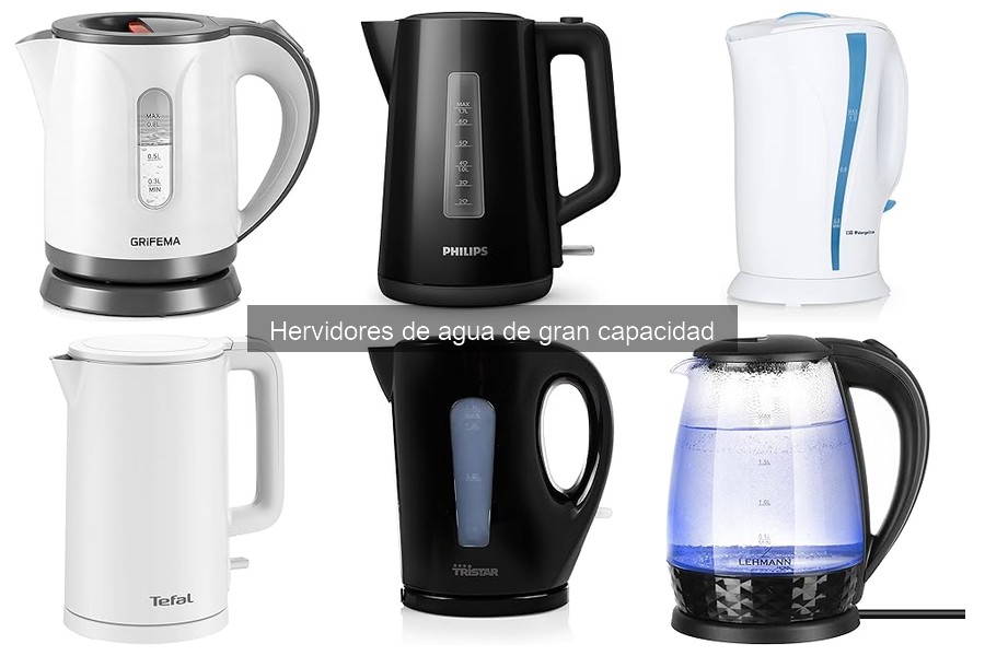** Problemas comunes y soluciones para hervidores de agua grandes