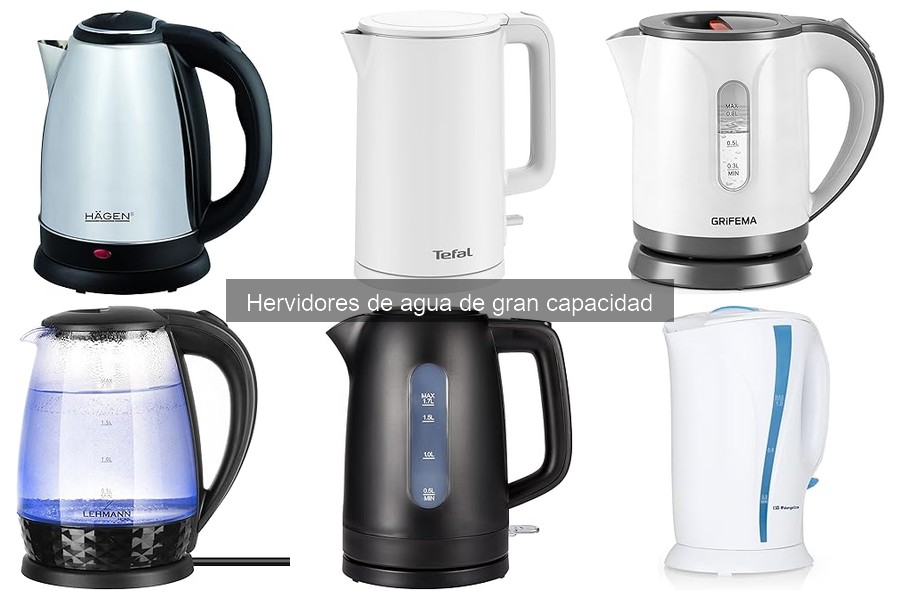 ¿Qué capacidad debe tener un hervidor para familias?