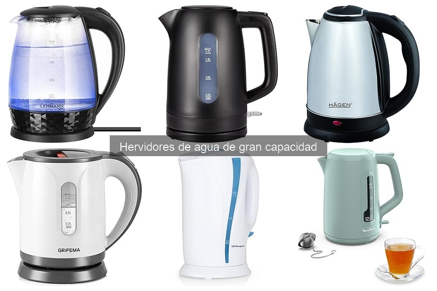 Qué es un hervidor de agua de gran capacidad: características y ventajas