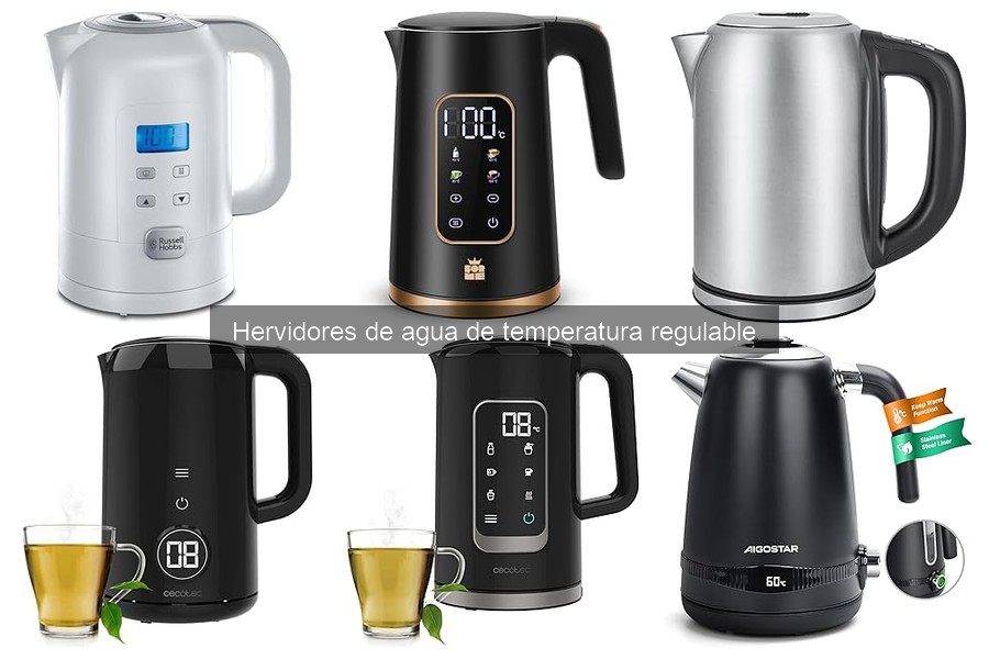 ¿Qué es un hervidor de agua de temperatura regulable?