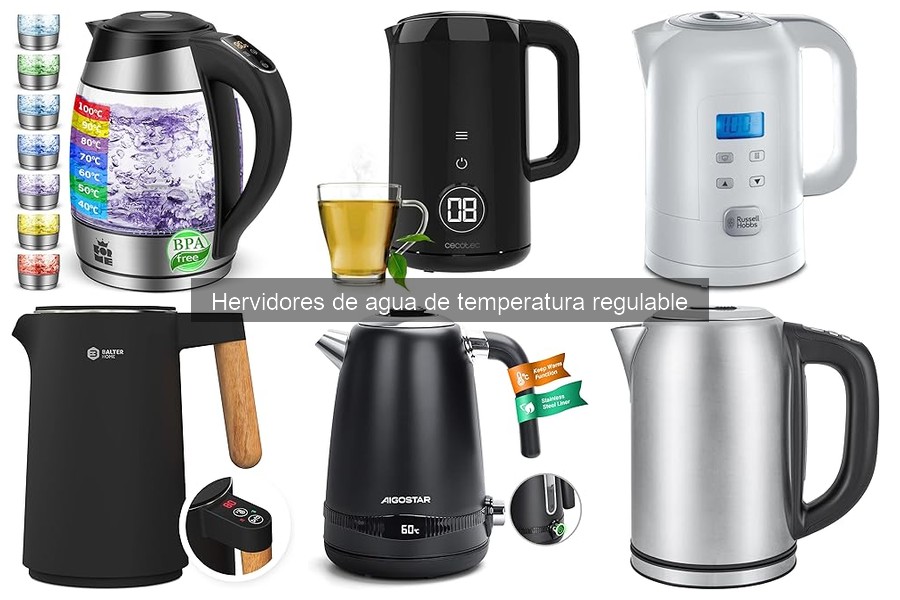 Recetas deliciosas con hervidor de agua de temperatura regulable