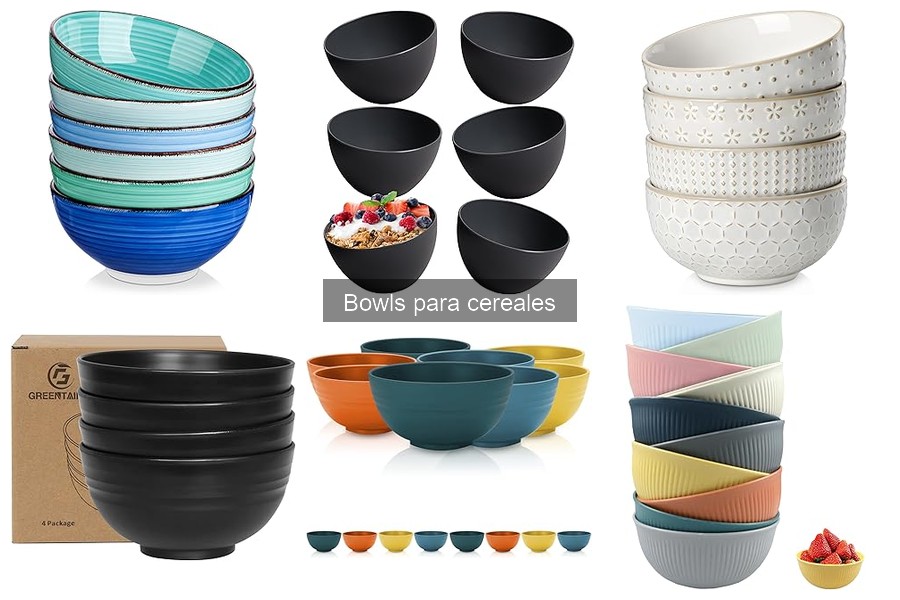 Ventajas y desventajas de bowls de cerámica vs plástico