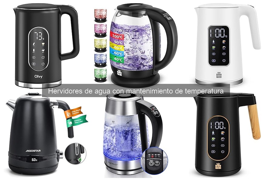 Ventajas y desventajas de hervidores de agua con temperatura